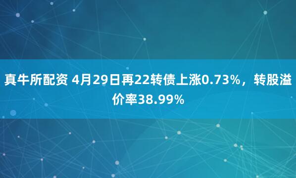 真牛所配资 4月29日再22转债上涨0.73%，转股溢价率38.99%